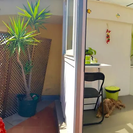 דירה Penthouse On The Bay Of *